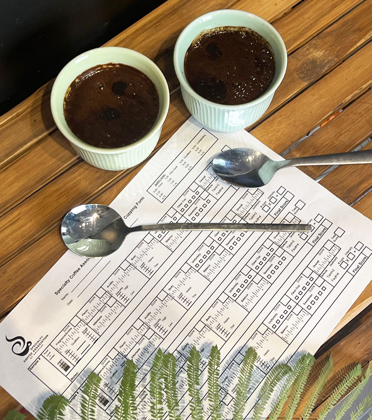 טעימת קפה, "קאפינג", כדי לבחור את דרגת הקלייה של הפולים. צילום: גאיה קרמינקר