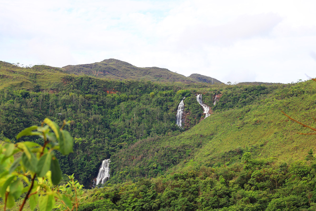 נופים ג'ונגליים במדינת מינאס ז'ראיס בברזיל. צילום: Luiz Felipe S. C.