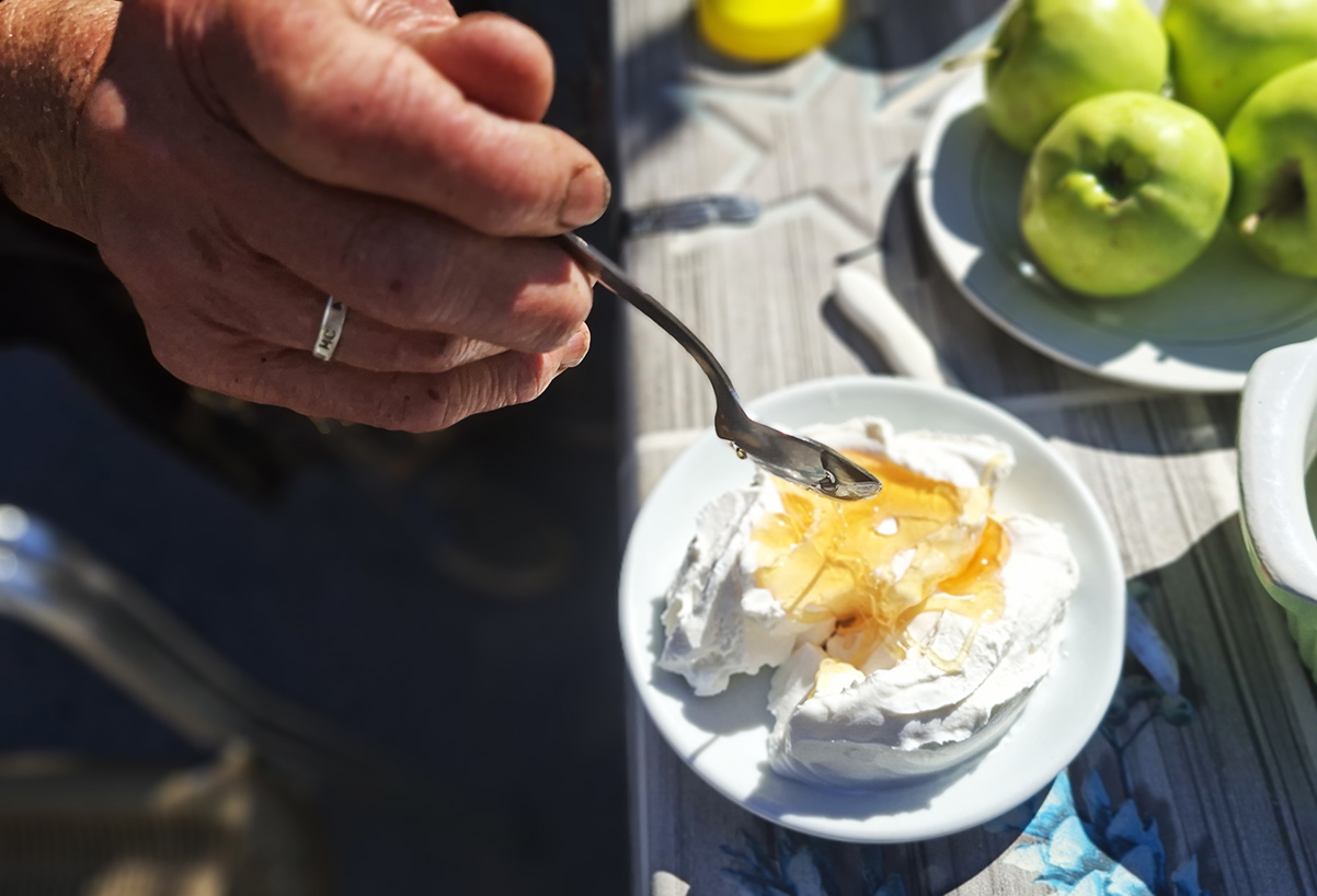 יוגורט יווני שקתרינה מכינה מחלב כבשים טרי ויוצקת עליו דבש (צילום: איתי שקד)