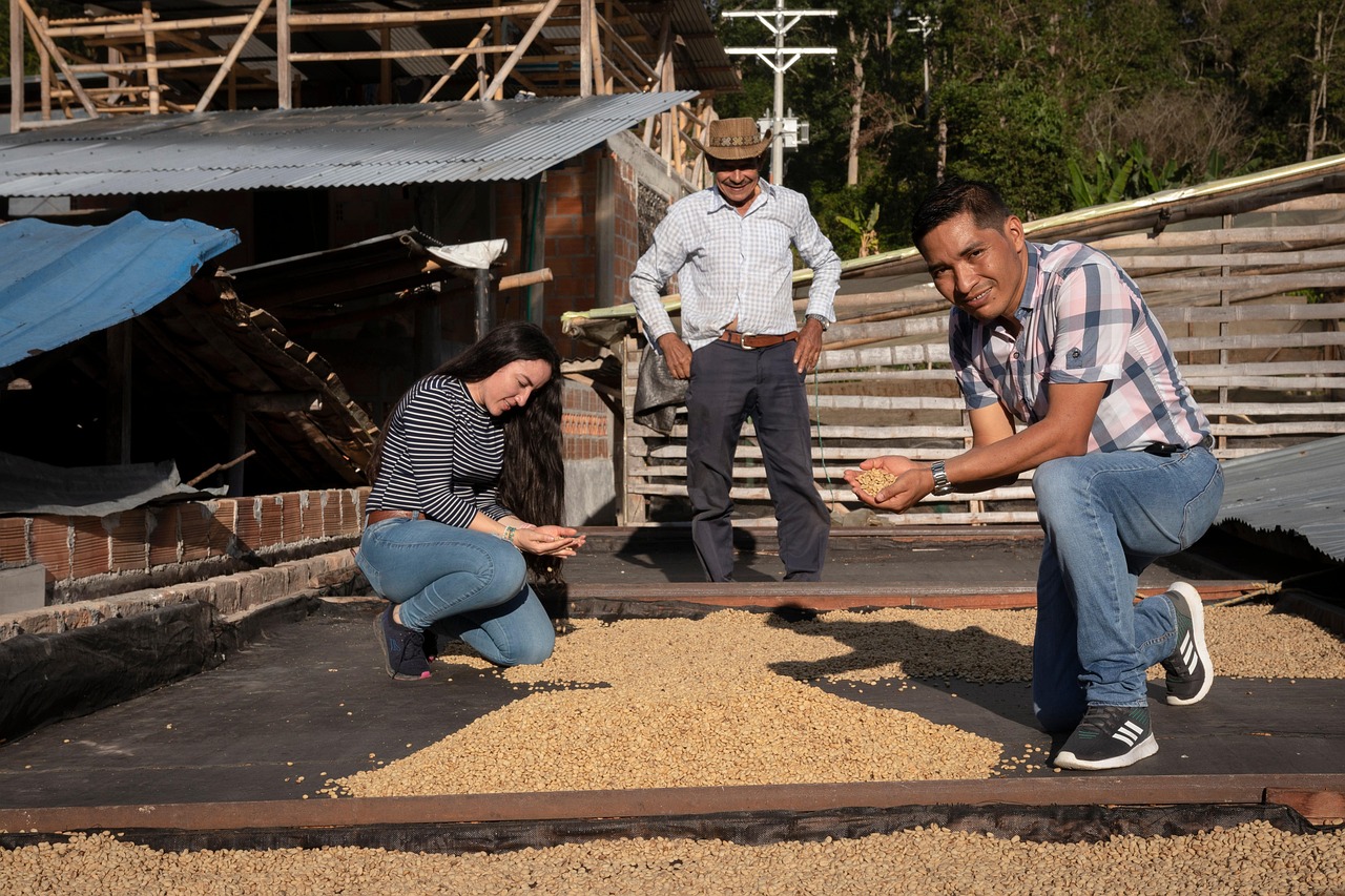 ייבוש פולי קפה בחווה בקולומביה. צילום: HunterProducciones