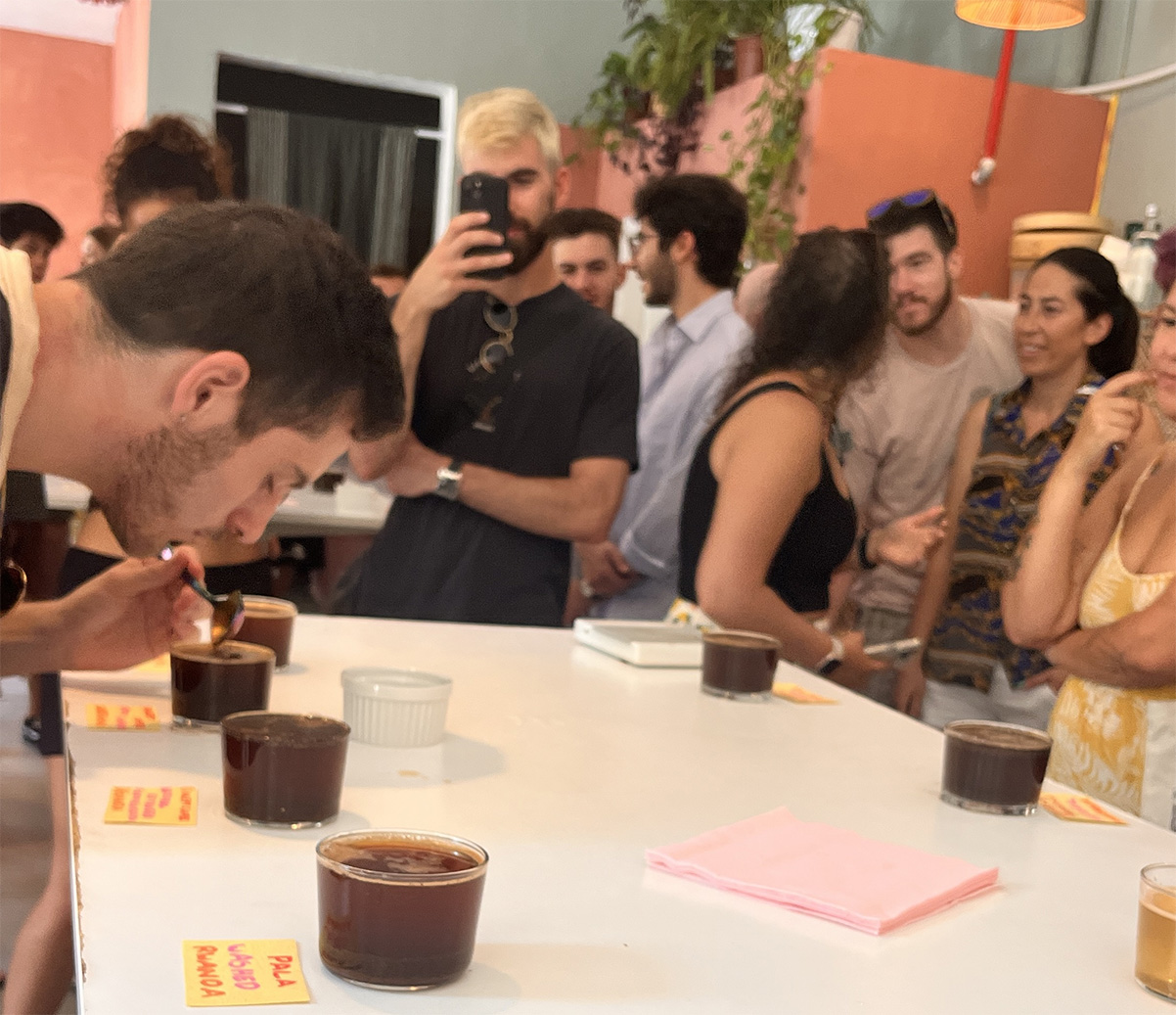 טעימת קפה בשיטת קאפינג. צילום: דיקלה דנינו