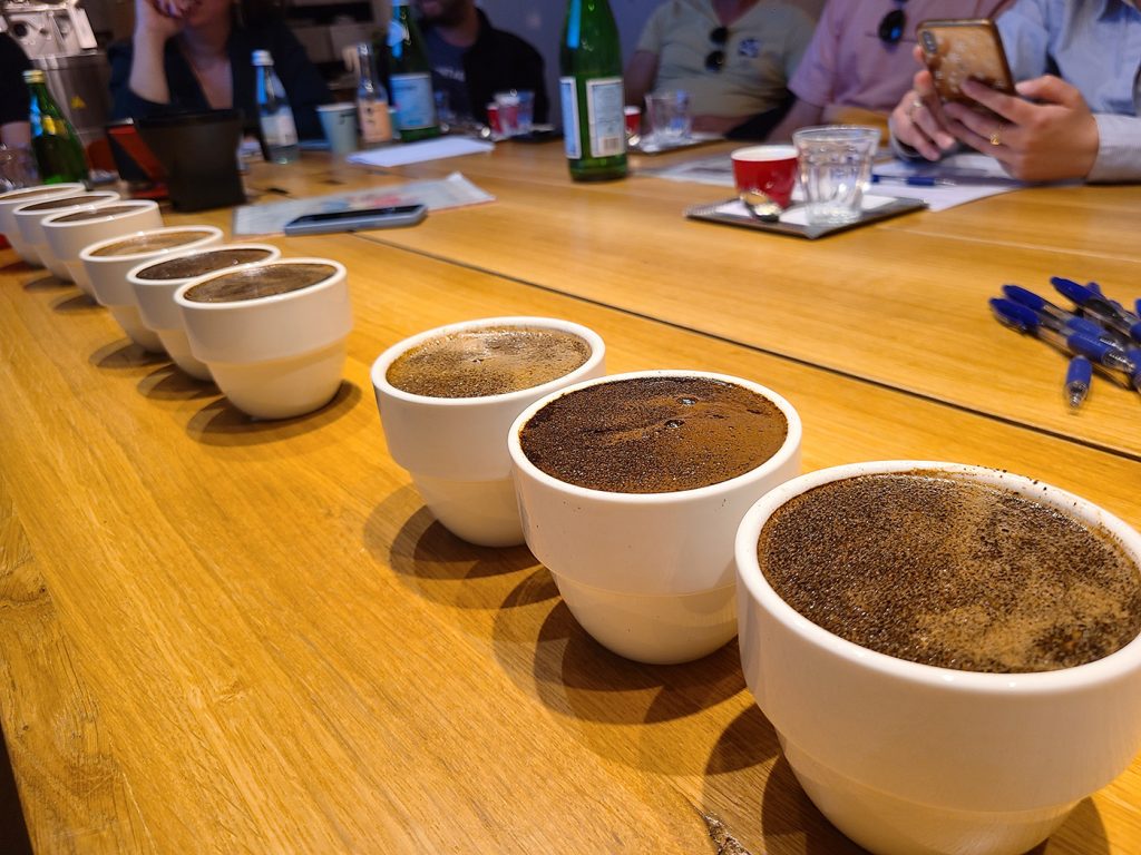 כוסות קאפינג לטעימת קפה בקורס של נועה ברגר. צילום: מגזין שותים