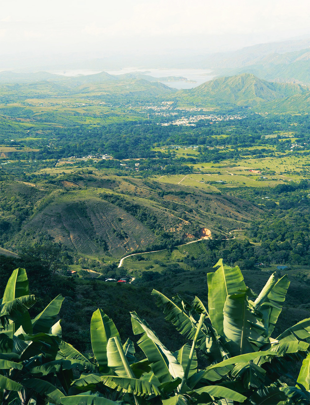 הנופים של חבל ארץ Huila בקולומביה. צילום: Valentina Diaz