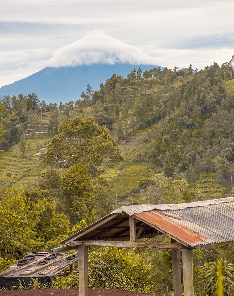 הר געש באי ג'אווה באינדונזיה. צילום: Rafael Atantya