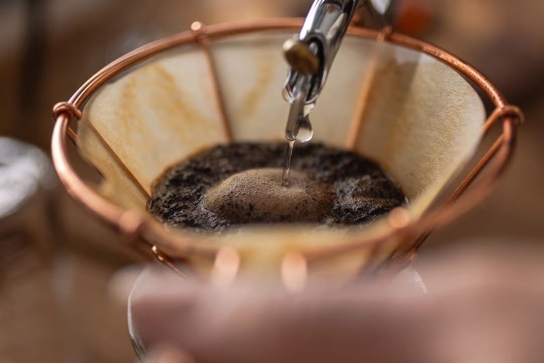 קפה פילטר בבית הקלייה IFNi ביפן. צילום: דן פרץ