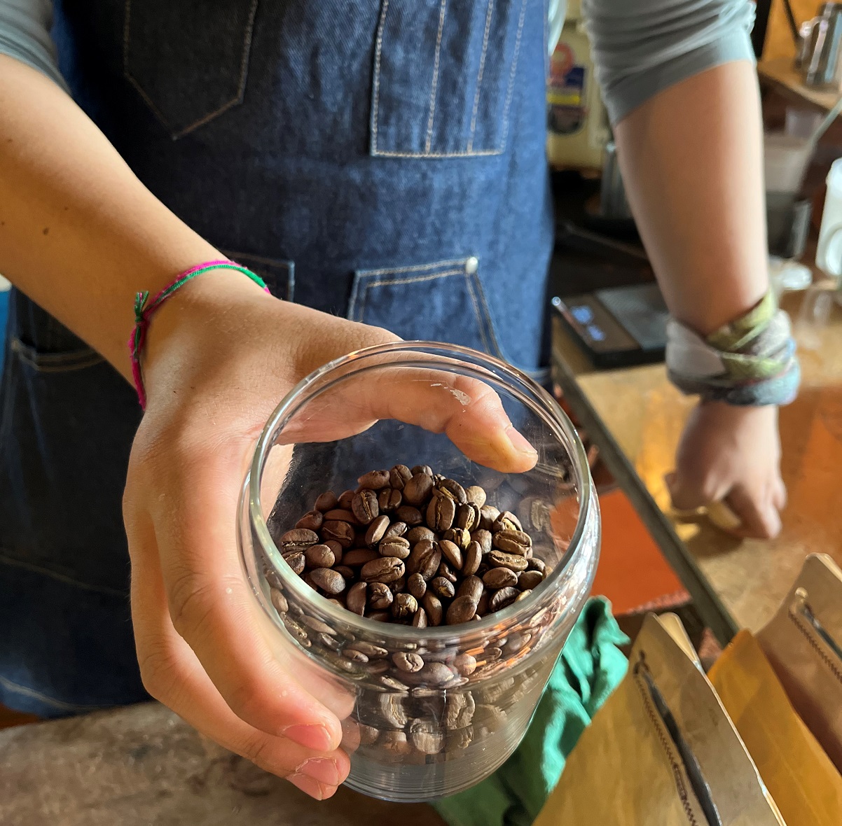 פולי קפה טריים בבית הקפה לאולו בלאוס. צילום: דיקלה דנינו