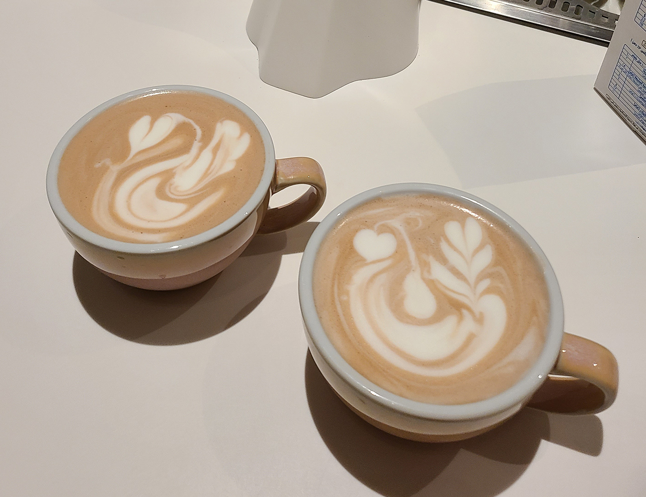 ברבור לאטה ארט בתחרות בריסטות. צילום: מגזין שותים