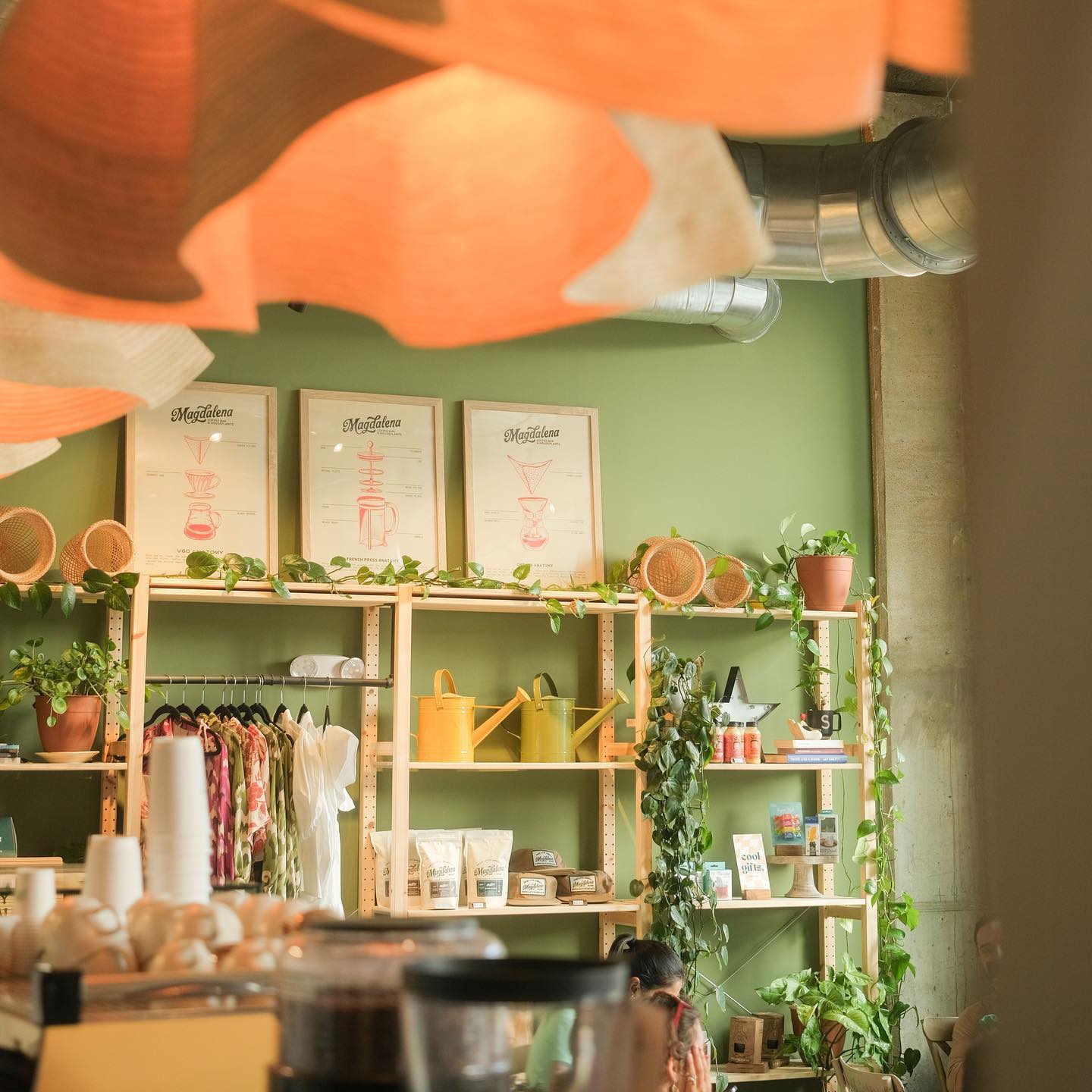 Magdalena Coffee Bar & Houseplants במיאמי. צילום: IG/@magdalena.coffee