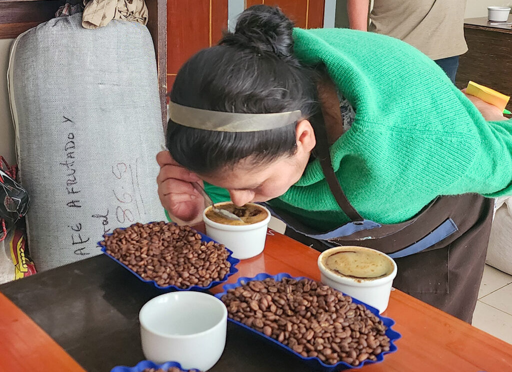 ה-Q Grader של חברת Wild Coffee בפרו טועמת קפה בקאפינג (צילום: יותם גולדפרב)