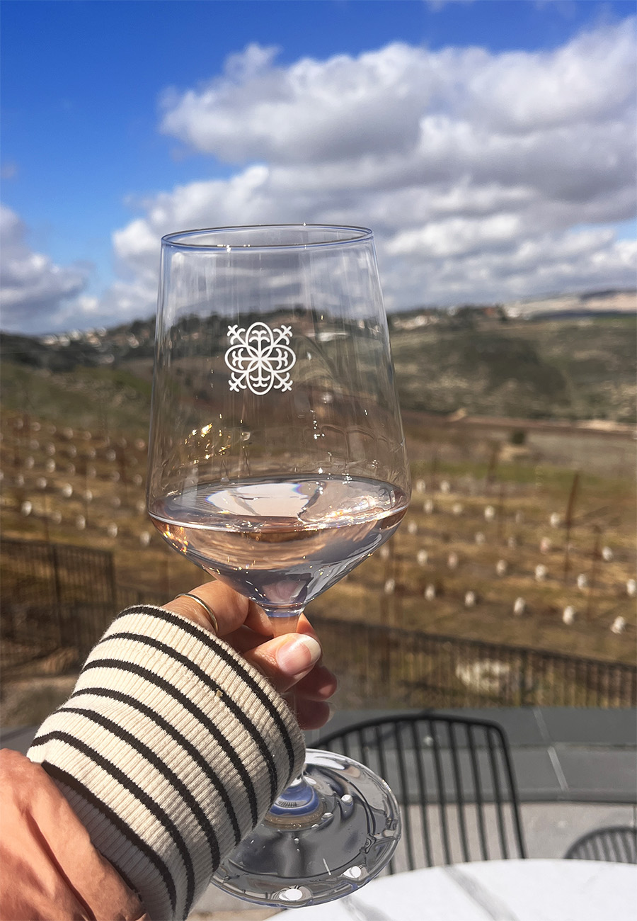 יקב רקנאטי ספג נזקים כלכליים משמעותיים בעקבות המלחמה. צילום: דיקלה דנינו