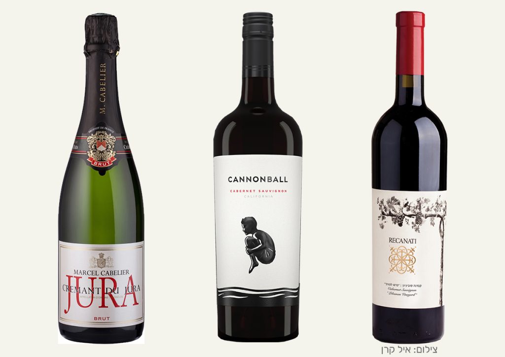 יינות מקטלוג 2025 של חברת שקד. צילום: איל קרן, יח"צ