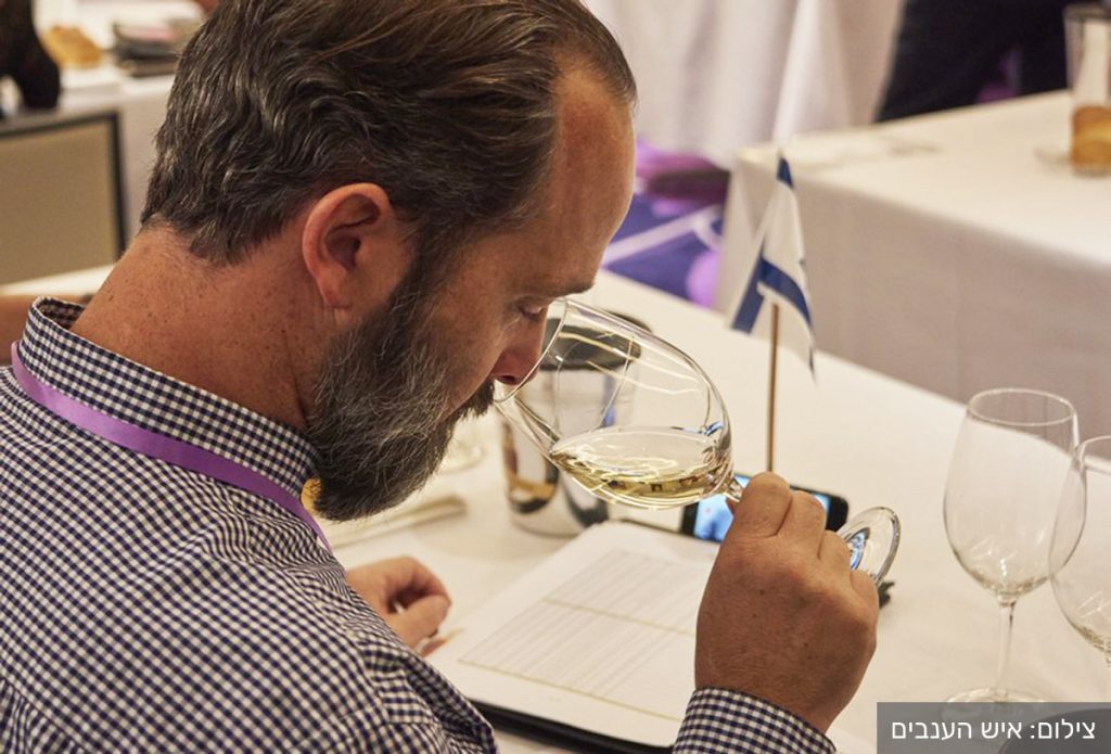 שופט בתחרות היין טרה וינו. צילום: איש הענבים