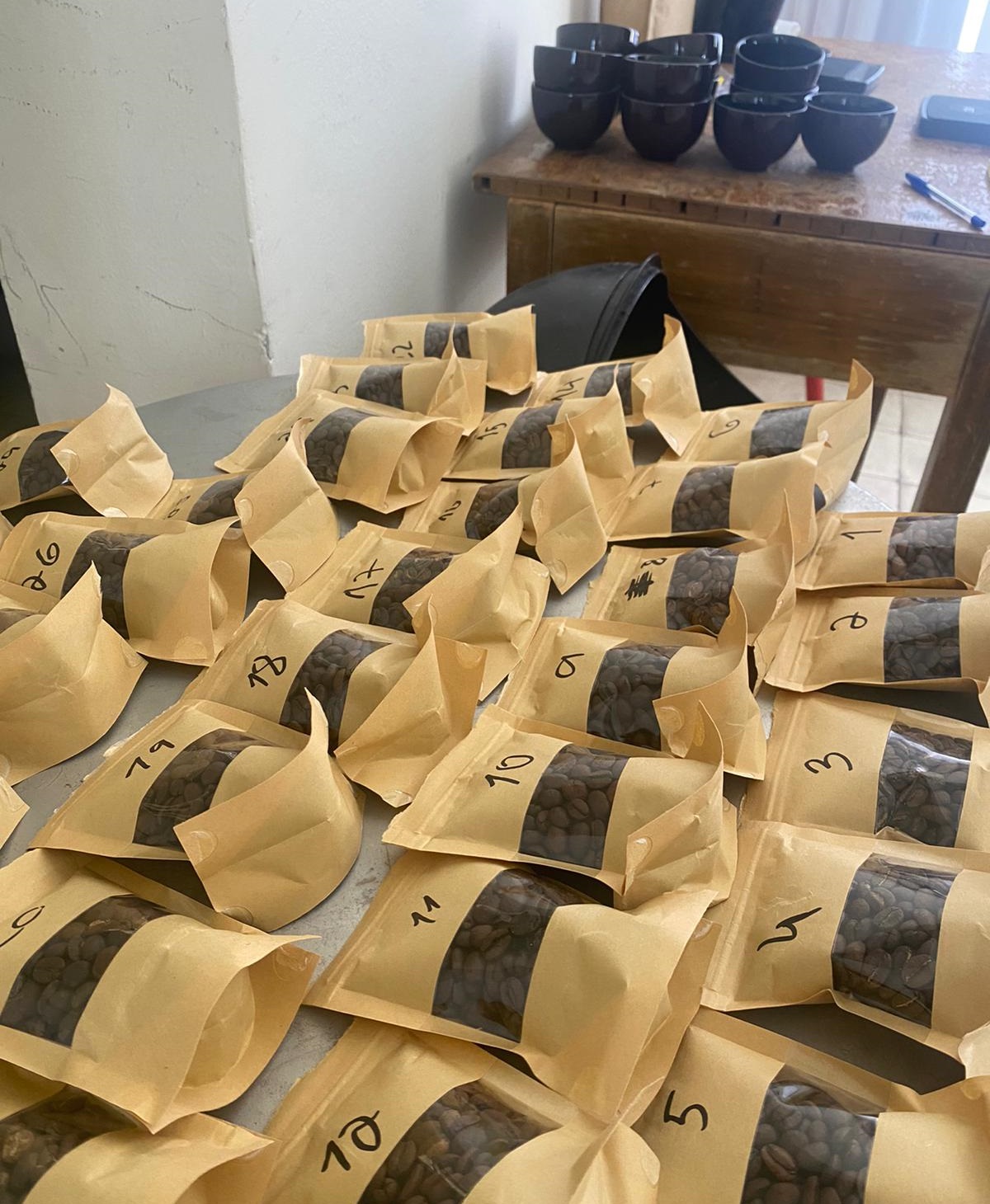 שקיות עם פולי קפה בתחרות הקפה הטוב 2022. צילום: אורלי דוד