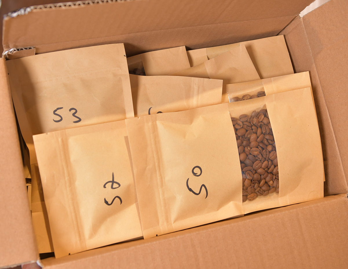 פולי קפה בשקיות חומות אנונימיות בתחרות הקפה הטוב 2024. צילום: יעקב בלומנטל
