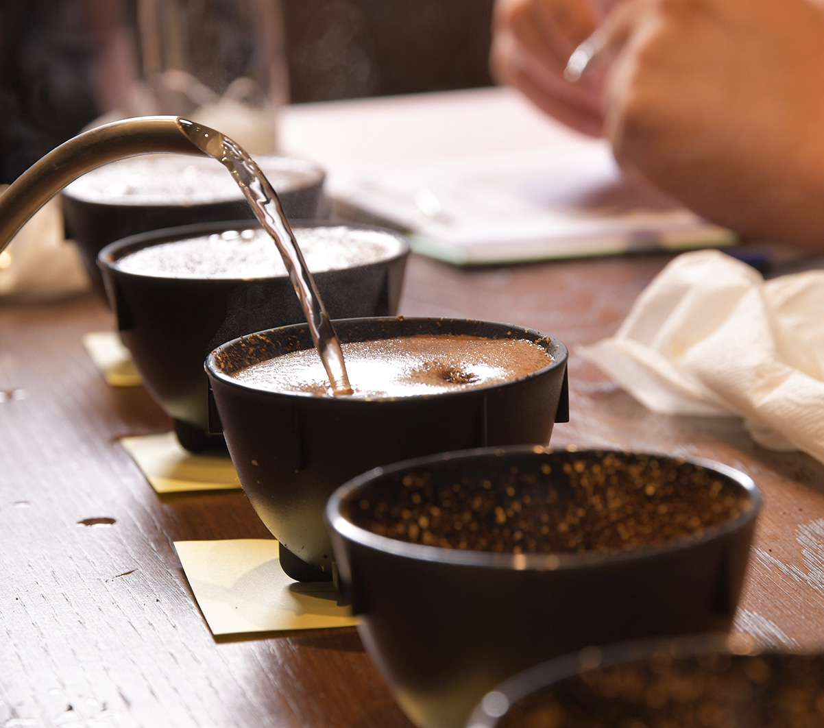 טועמים סבב נוסף בתחרות הקפה הטוב 2024. צילום: יעקב בלומנטל