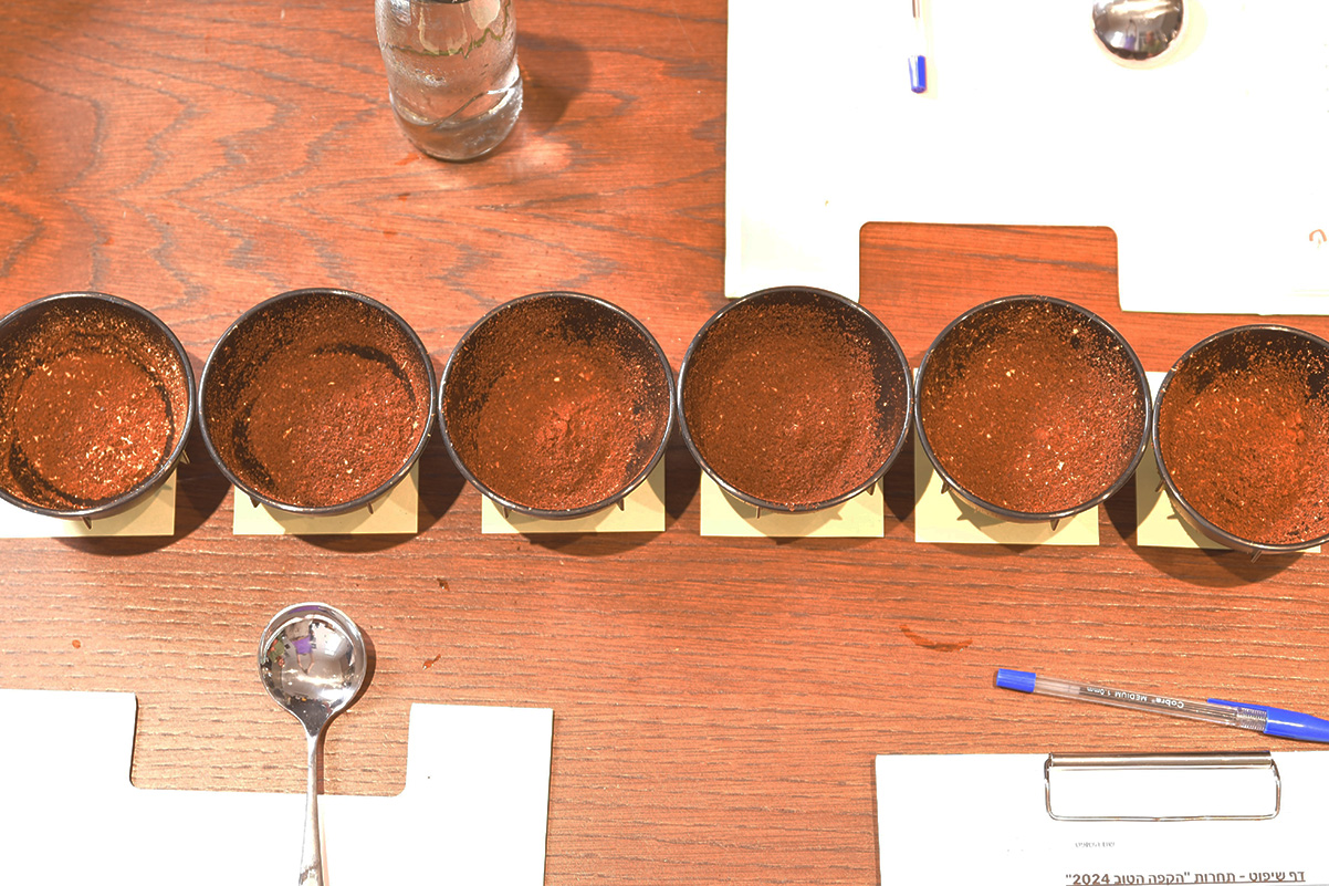 קפה טחון בכוסות קאפינג של Barista Hustle בתחרות הקפה הטוב 2024 של מגזין שותים. צילום: יעקב בלומנטל