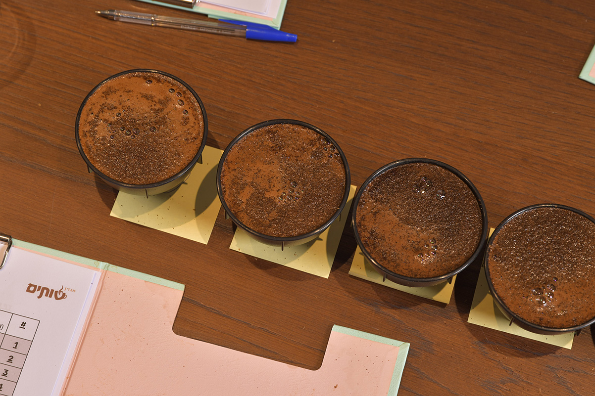 עכשיו מחכים ארבע דקות, שהקפה ייחלט. צילום: יעקב בלומנטל