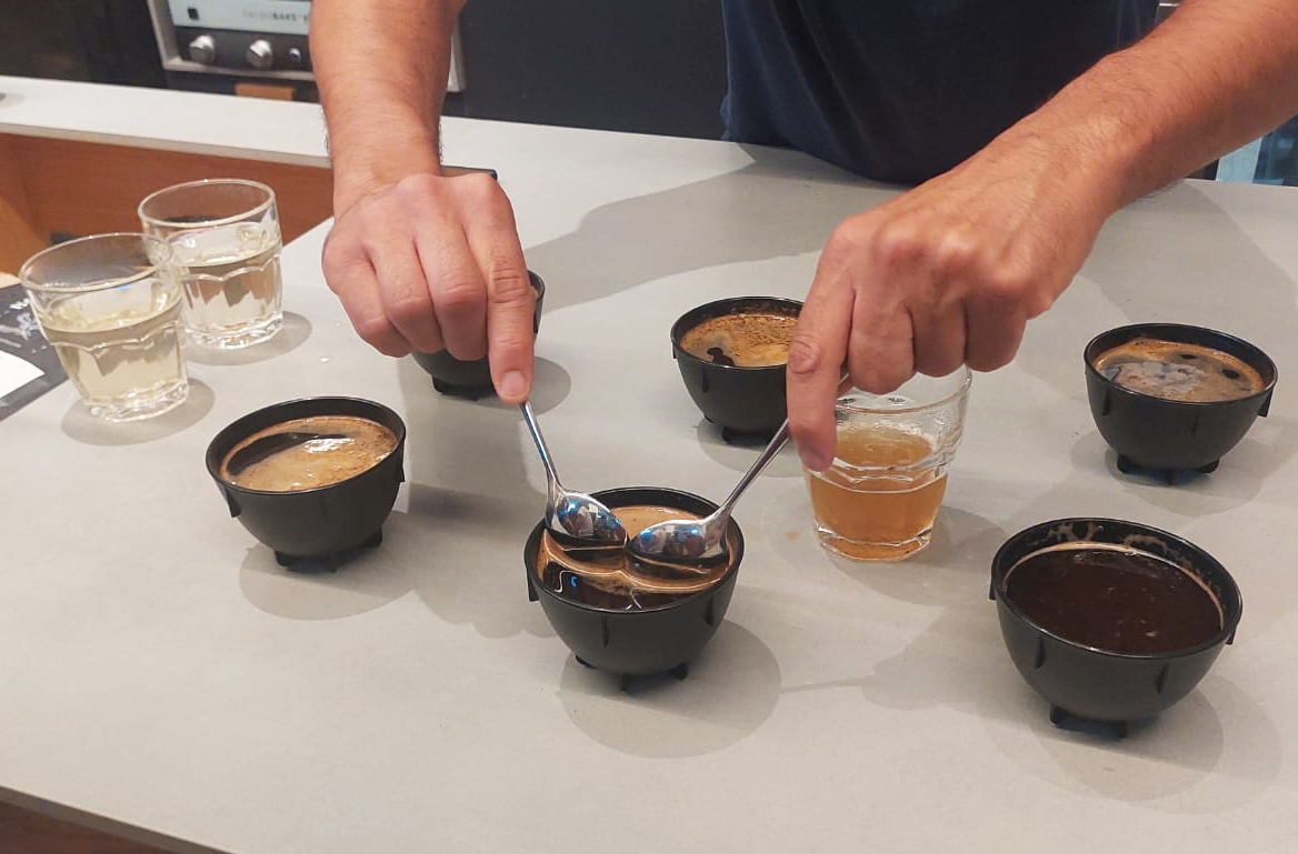 מכינים את טעימות הקפה בשיטת קאפינג. צילום: איתי שקד