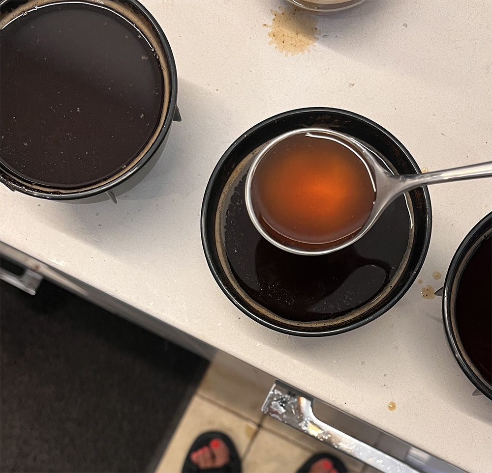 "התרגשתי גם לטעום בעצמי קפה בשיטת קאפינג". צילום: דיקלה דנינו