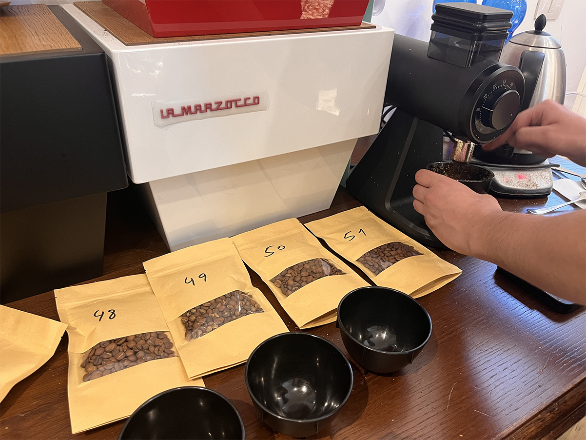 פולי הקפה ארוזים בשקיות אנונימיות ממוספרות, מוכנות לטעימה עיוורת. צילום: דיקלה דנינו