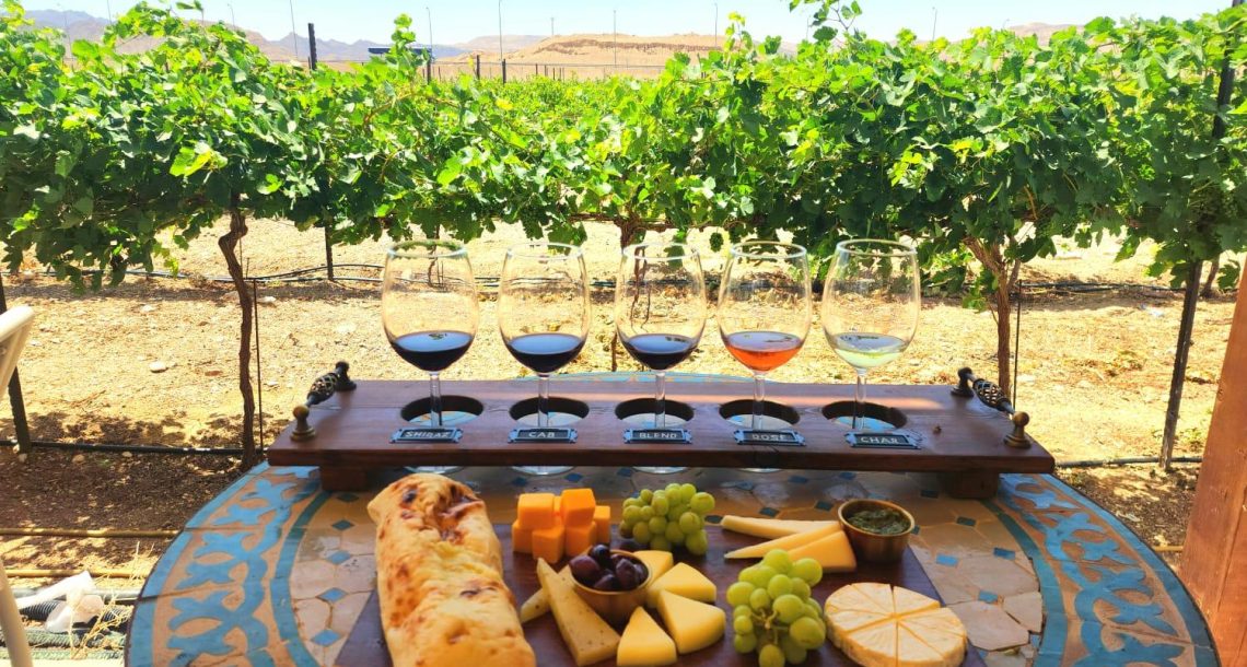 חורף של יין: מאילת ועד בוז'ולה, דרך הנגב וקטלוג 2026