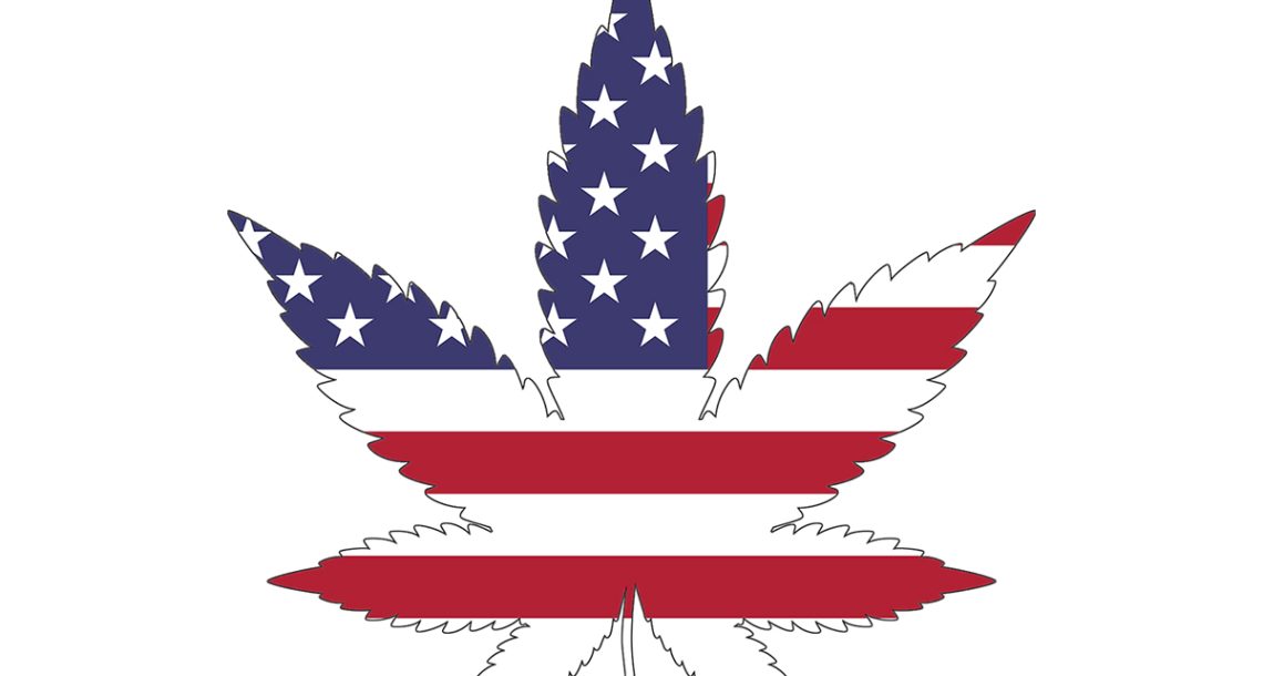 גם תושבי ניו ג'רזי, אריזונה ודרום דקוטה אישרו לגליזציה של קנאביס