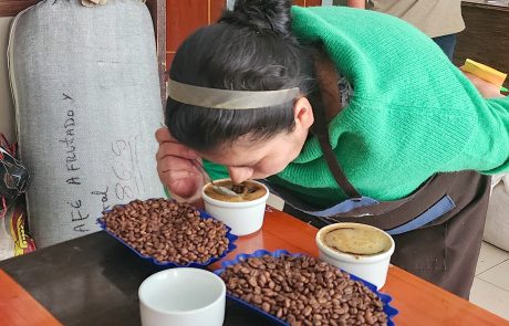 בפרו יש מגדלי קפה ששמחים מעליית המחירים, אבל אין מי שיקטוף את הפירות