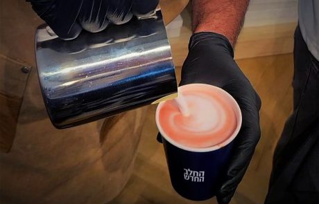 "העתקנו את המתכון מהפרה": האם 'החלב החדש' של מחלבות גד ו-Remilk עובר את מבחן הטעם?