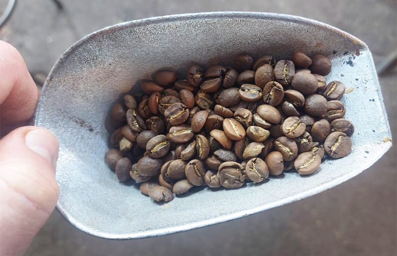 זמביה AAA מאפינגה הילס – הגובה כן קובע! | סיפורי קפה