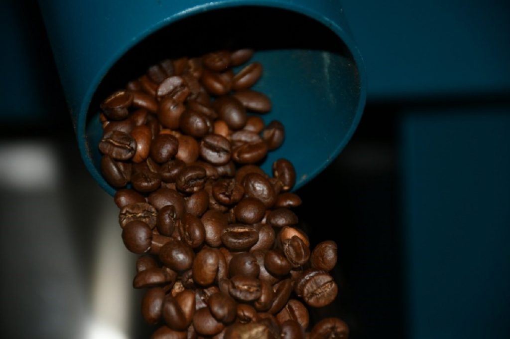 פולי קפה בבית הקלייה טוסטאטו בחורפיש. צילום: יח"צ