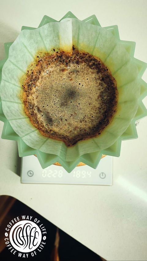 קפה פילטר. צילום: יניב קסטנבאום, @coffee_way_of_life